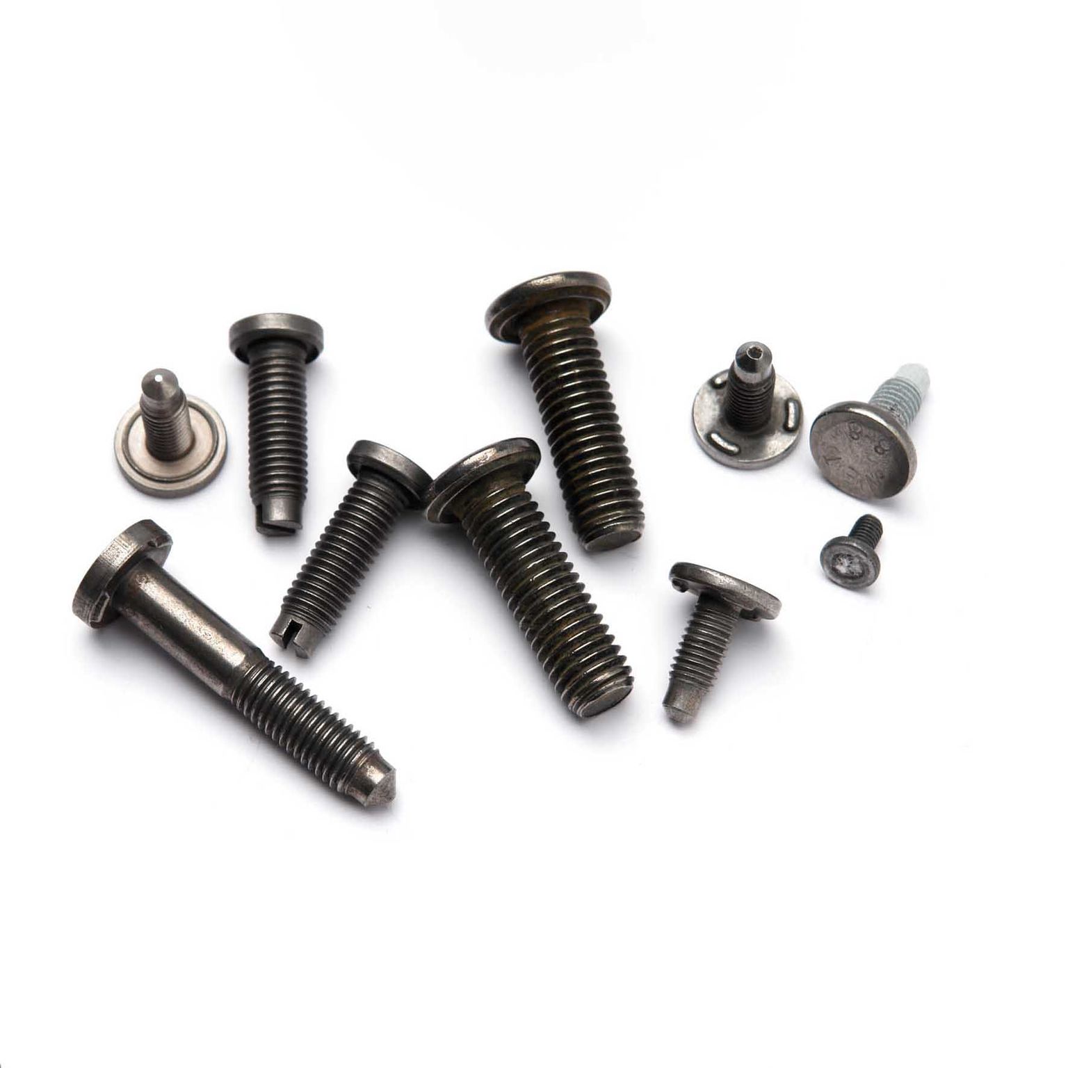 Mit Langbuckel, Schweißring, Schweißwarzen